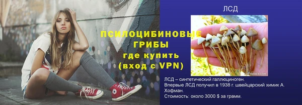 соль курить ск Нея
