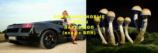 бутират Надым