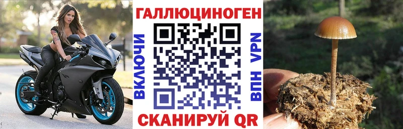 Галлюциногенные грибы Psilocybe  Островной 